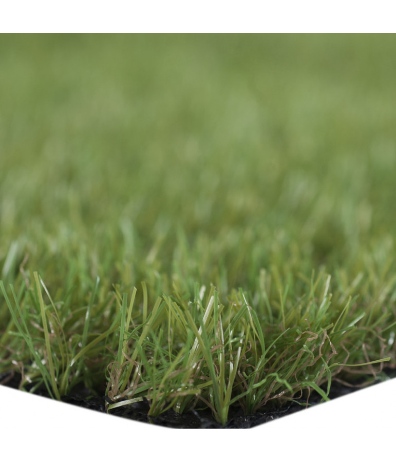 PASTO TALBOT OSORNO 2X10 METROS - 3