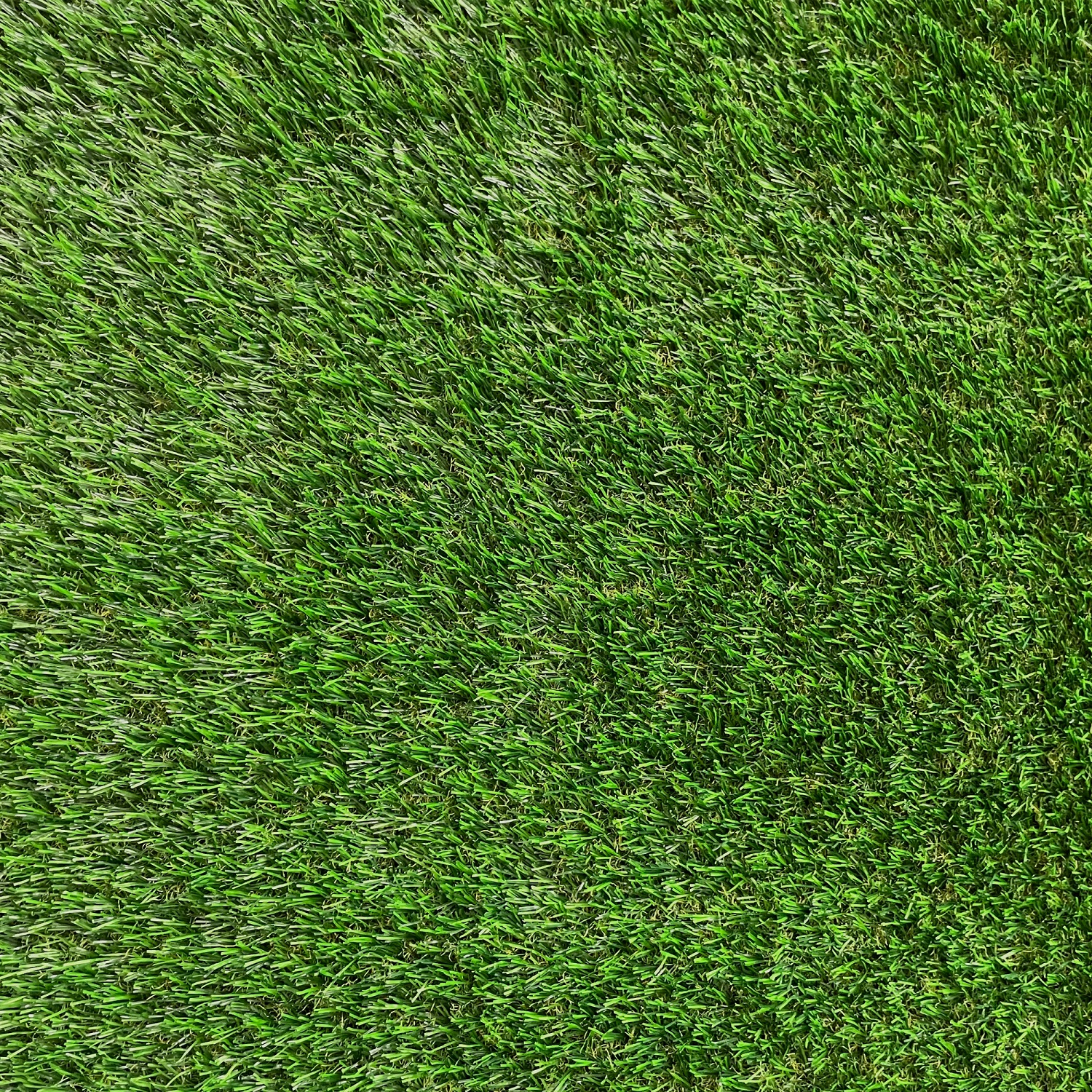 PASTO TALBOT SINTÉTICO 30 MM VALHALLA ROLLO 2 X 5 METROS - 5