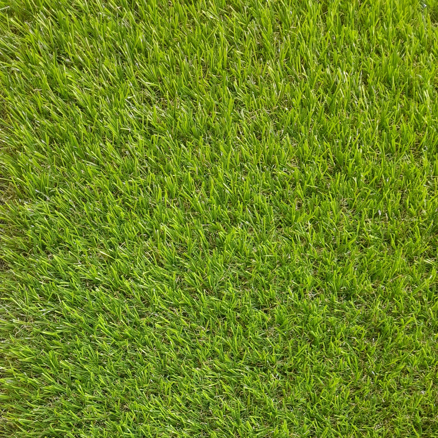 PASTO SINTETICO 40MM ROLLO 2 X 5 METROS - 1