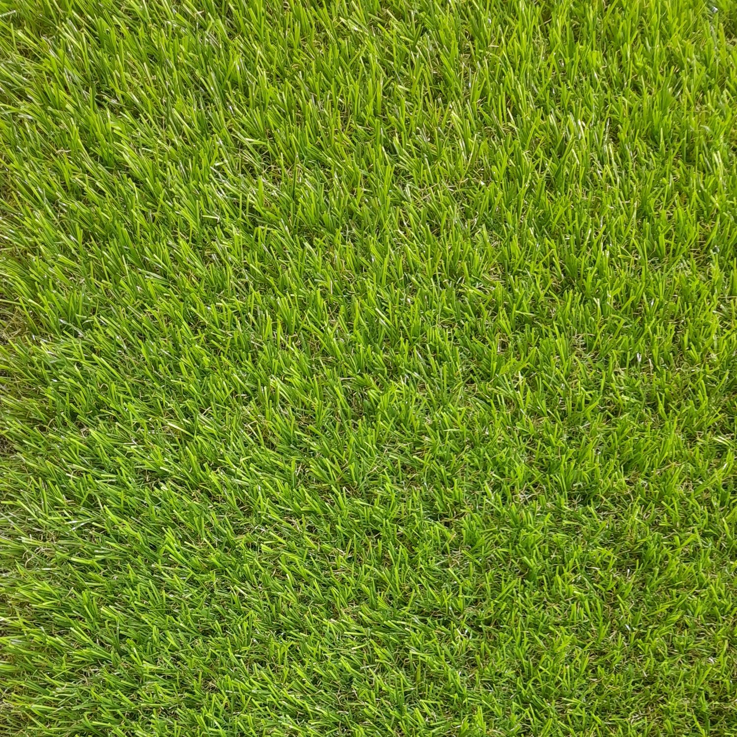PASTO TALBOT SINTÉTICO 40 MM ROLLO 2 X 10 METROS - 1