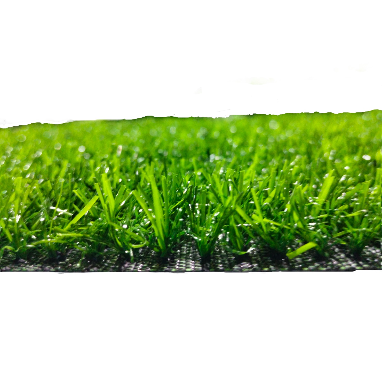 PASTO TALBOT SINTÉTICO FRESIA 15 MM ROLLO 2 X 25 METROS - 2