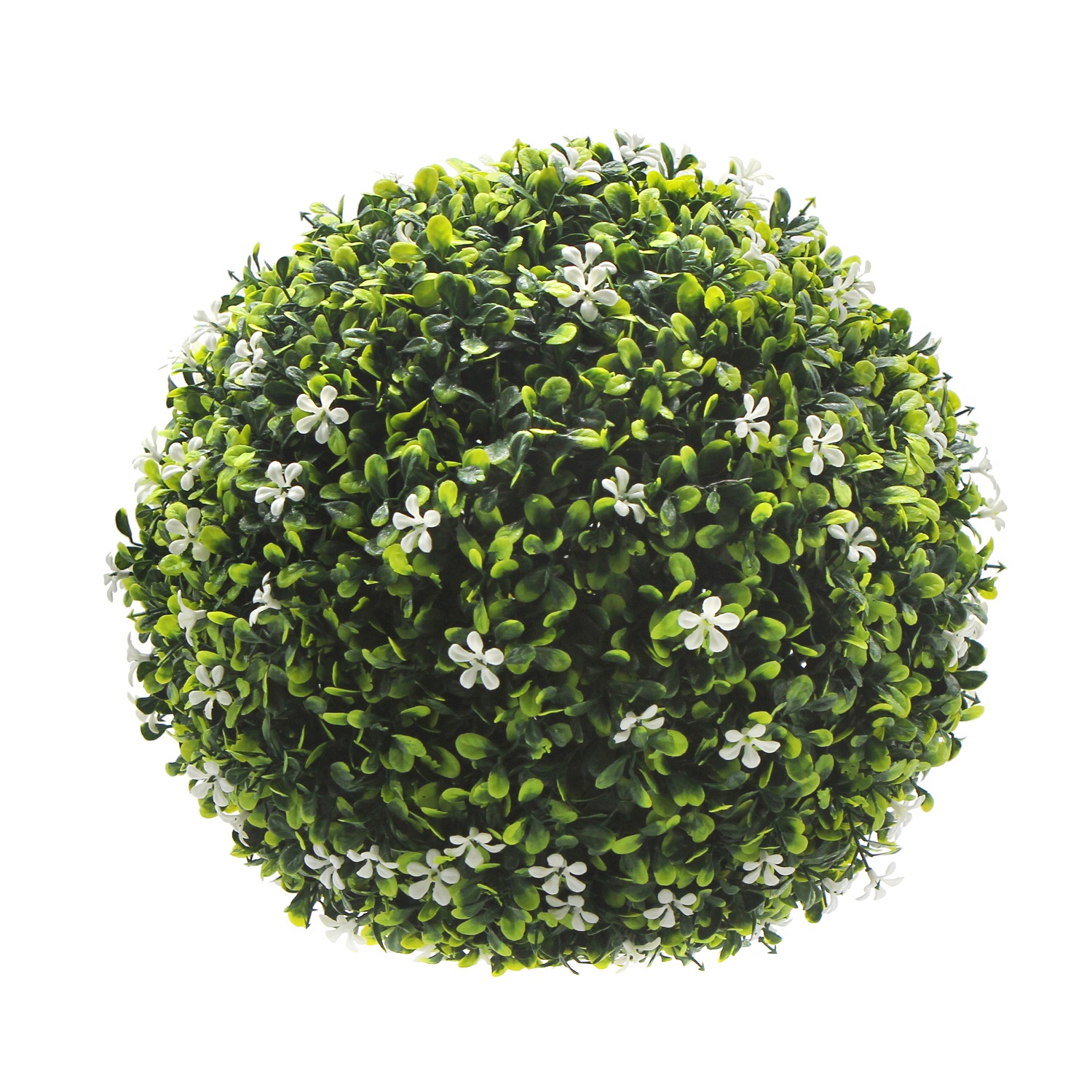 PLANTA TALBOT TOPIARIA 28 CM - 1