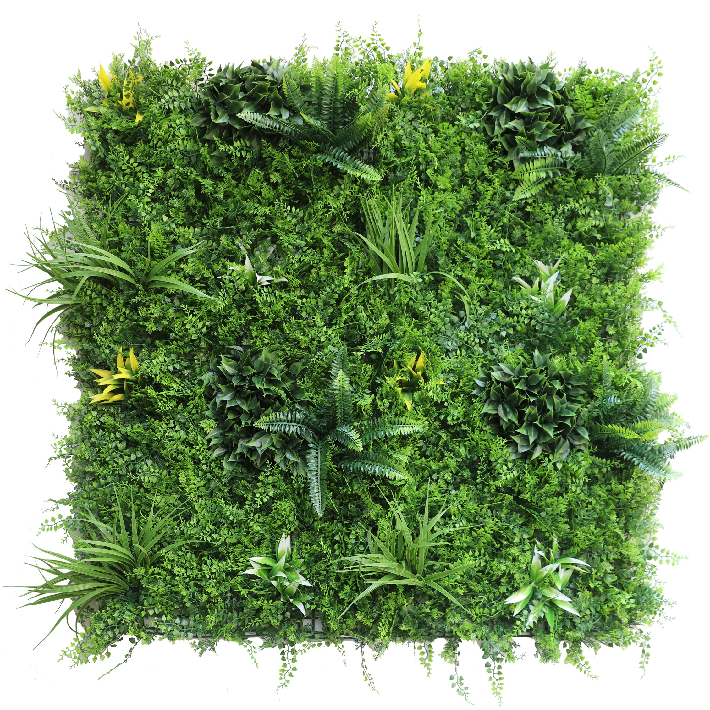 JARDIN VERTICAL HELECHO PRO - 1