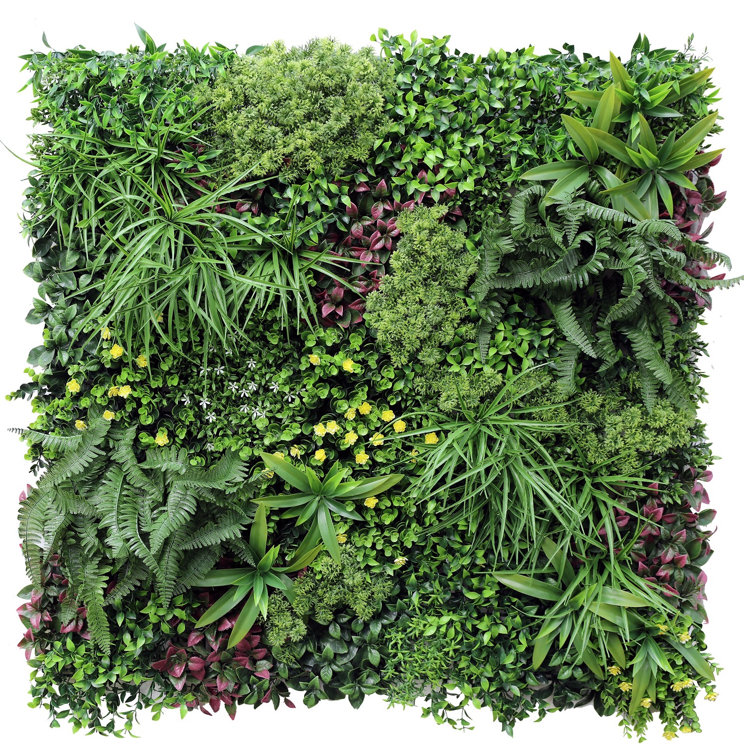 JARDÍN TALBOT VERTICAL PAPUA 100 CM - 1