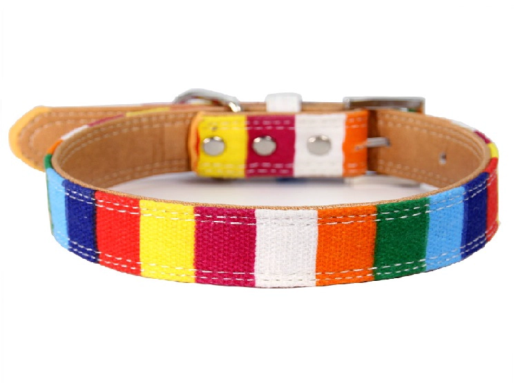COLLAR PERROS WINPET FULLCOLOR L - 1