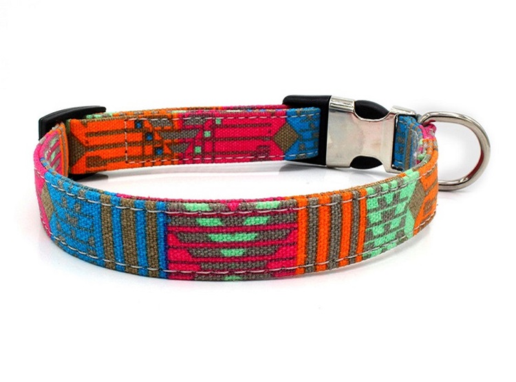 COLLAR PERROS DESIGN URBAN WINPET TALLA S - 1