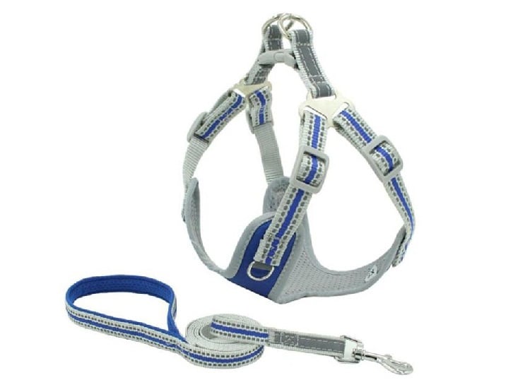 SET ARNES PERROS + CORREA REINFORCED CHEST AZUL S WINPET - 1