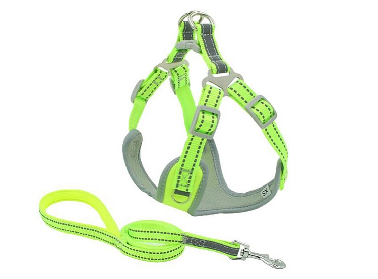 SET ARNES PERROS + CORREA REINFORCED CHEST AMARILLO XS WINPET - 1