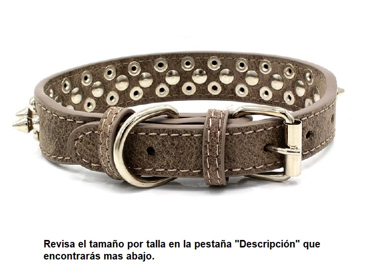 COLLAR PERROS TACHAS PLATEADAS WINPET GRIS TALLA XL - 2