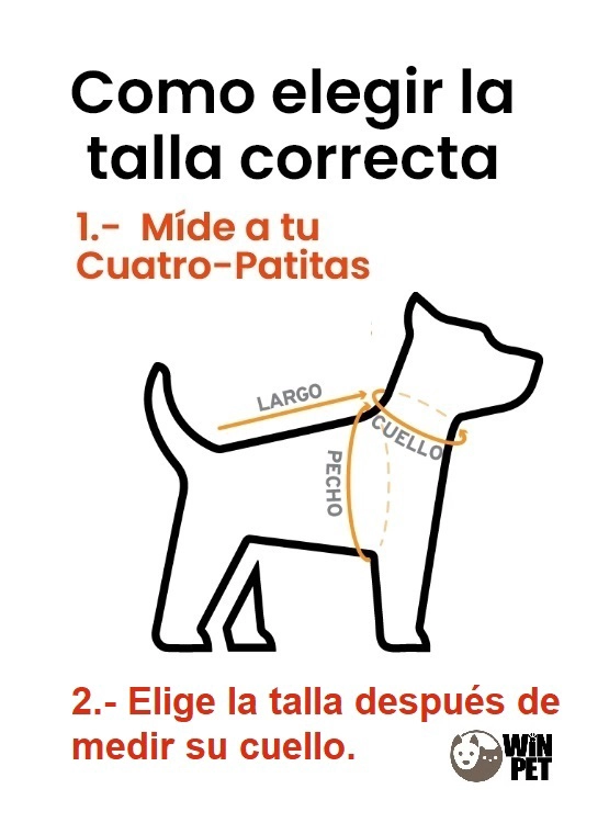 COLLAR PERROS TACHAS PLATEADAS WINPET GRIS TALLA XL - 3