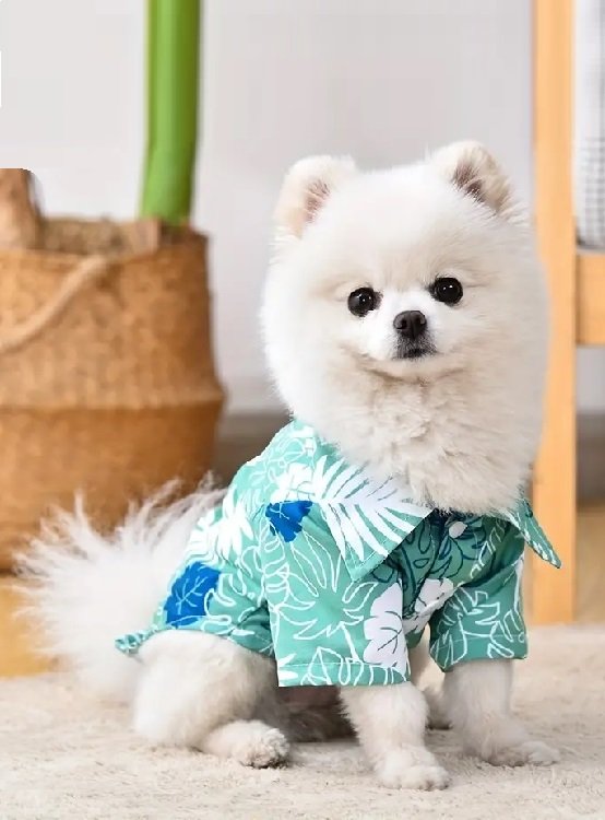ROPA CAMISA PERROS GATOS GUAYABERA CHEERFUL WINPET VERDE TALLA M - 1