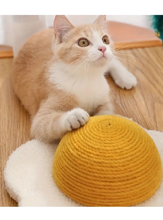 RASCADOR GATOS WINPET MARGARITA 28 CM - 3