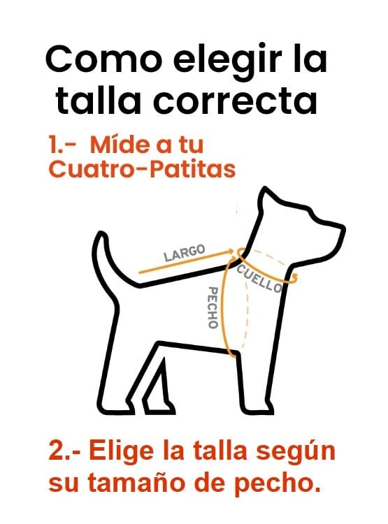 ARNES PARA PERROS ANTI TIRORES NORUEGO TALLA XS - 3