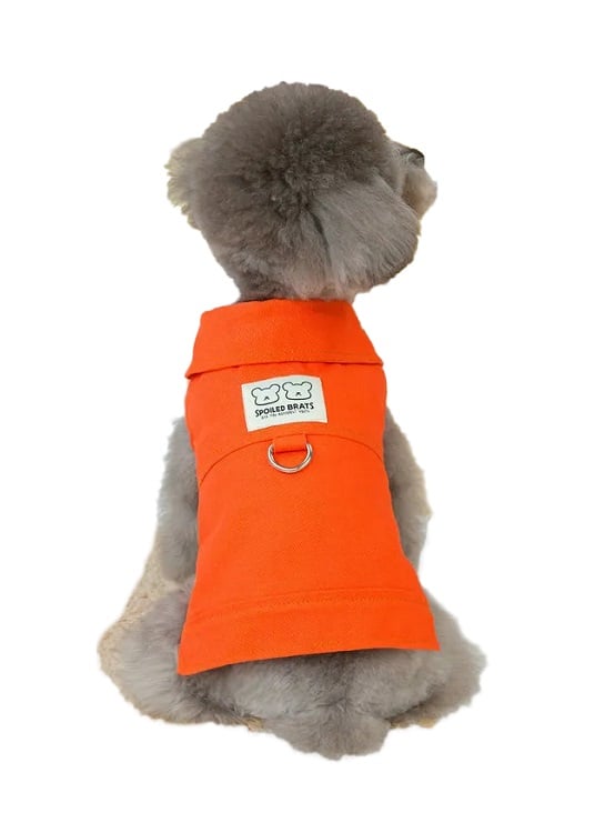 ROPA PARA PERRO CHAQUETA JEANS HAPPY COLOR - TALLAS XS A XL - 1