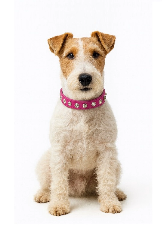 COLLAR PARA PERRITAS CON BRILLANTES GRANDES – S FUCSIA - 1
