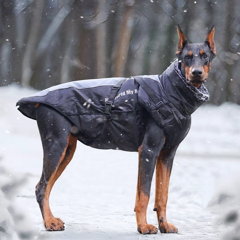 PARKA IMPERMEABLE PARA PERROS GRANDES REFLECTANTE Y CON ARNE S - 3XL - 2