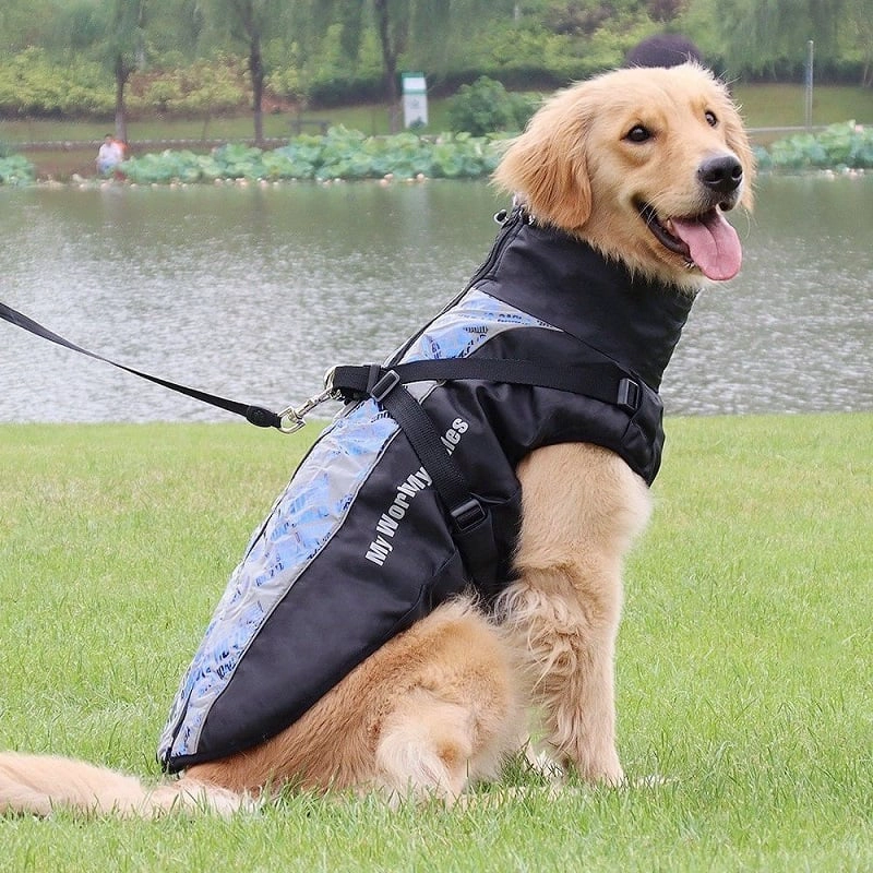 PARKA IMPERMEABLE PARA PERROS GRANDES REFLECTANTE Y CON ARNE S - 3XL - 3