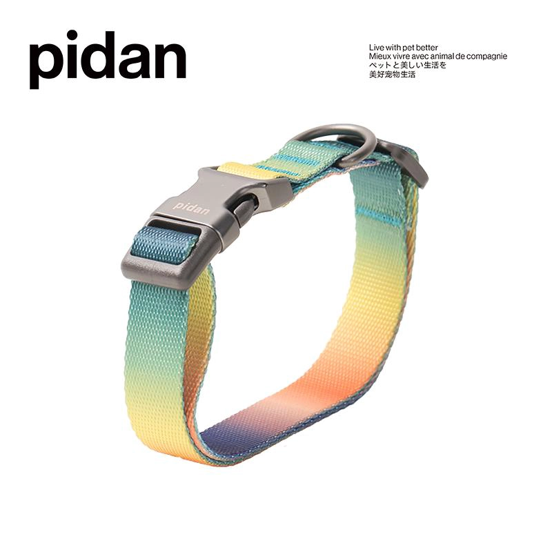 COLLAR PERROS PD2930A1 PIDAN PERRO ® A1 (AZUL Y VERDE) - 2