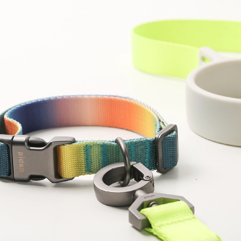 COLLAR PERROS PD2930A1 PIDAN PERRO ® A1 (AZUL Y VERDE) - 4