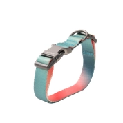 COLLAR PERROS PD2930A2 PIDAN ® A2 (ROSA Y VERDE) - 1