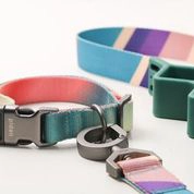 COLLAR PERROS PD2930A2 PIDAN ® A2 (ROSA Y VERDE) - 4