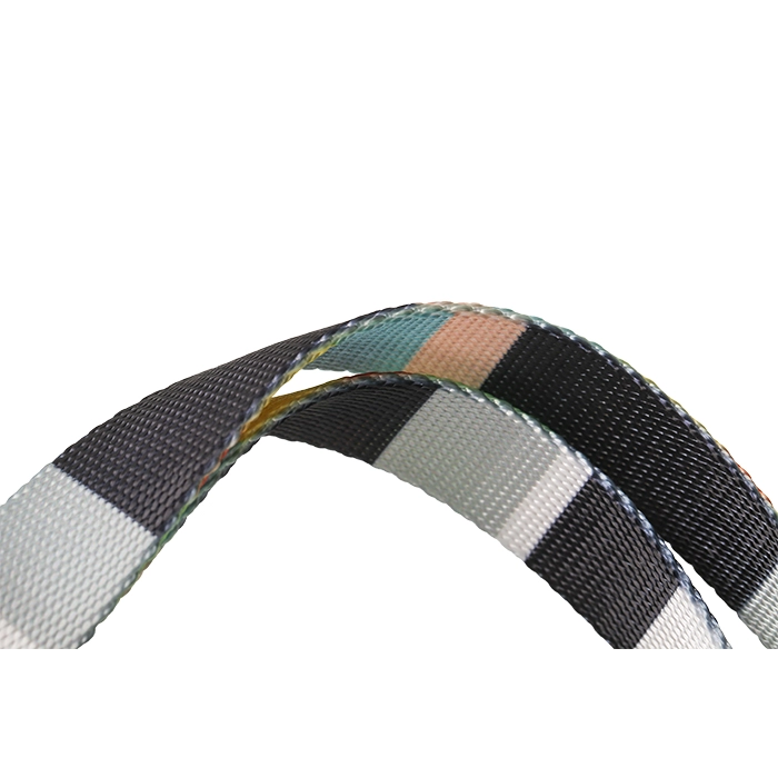 COLLAR PERROS PD2930A3 PIDAN PERRO ® A3 (RAYAS DE COLOR) - 3