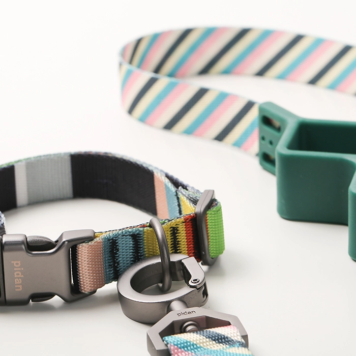 COLLAR PERROS PD2930A3 PIDAN PERRO ® A3 (RAYAS DE COLOR) - 4