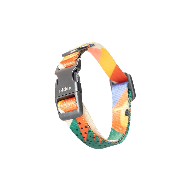 COLLAR PERROS PD2931S1 PIDAN DE PERRO S1 - 1