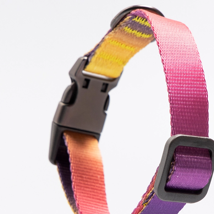 COLLAR PERROS PD2931S3 PIDAN DE PERRO S3 - 2