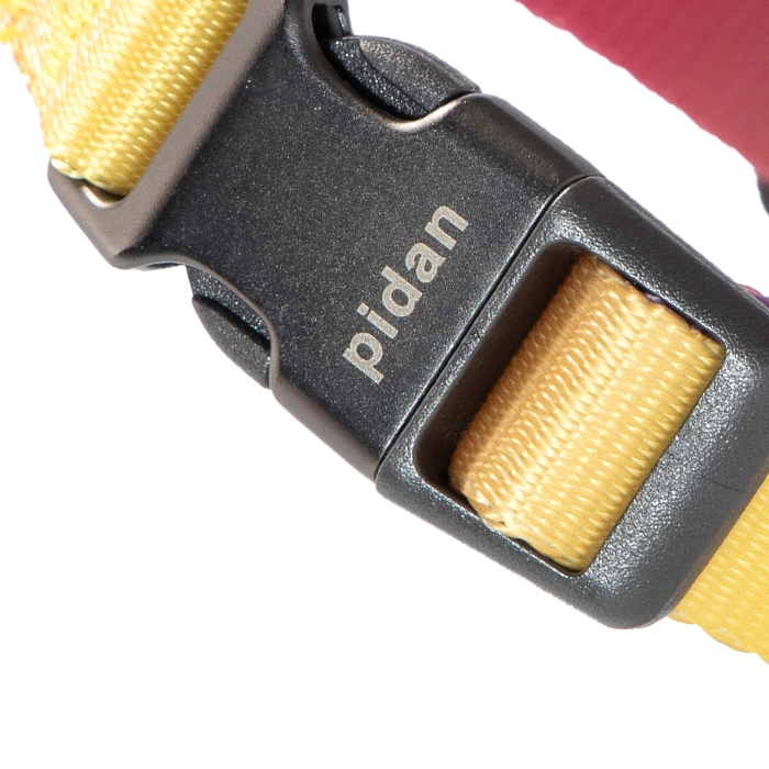 COLLAR PERROS PD2931S3 PIDAN DE PERRO S3 - 3