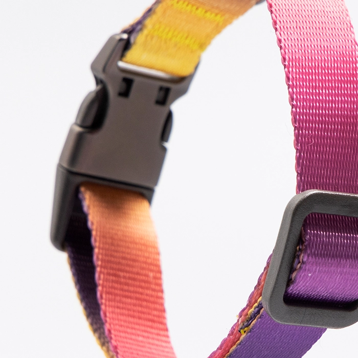 COLLAR PERROS PD2931S3 PIDAN DE PERRO S3 - 4