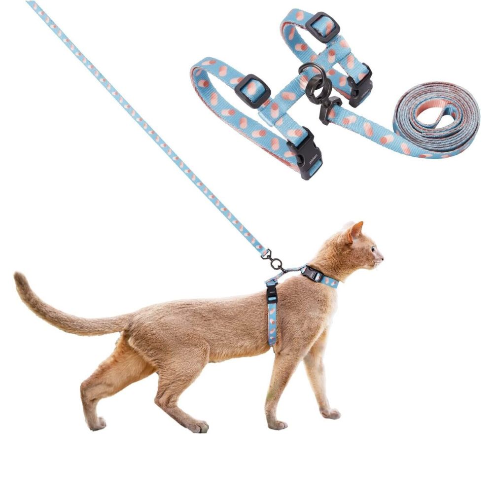 ARNÉS PERROS GATOS CONJUNTO CORREA B2 PIDAN - 3