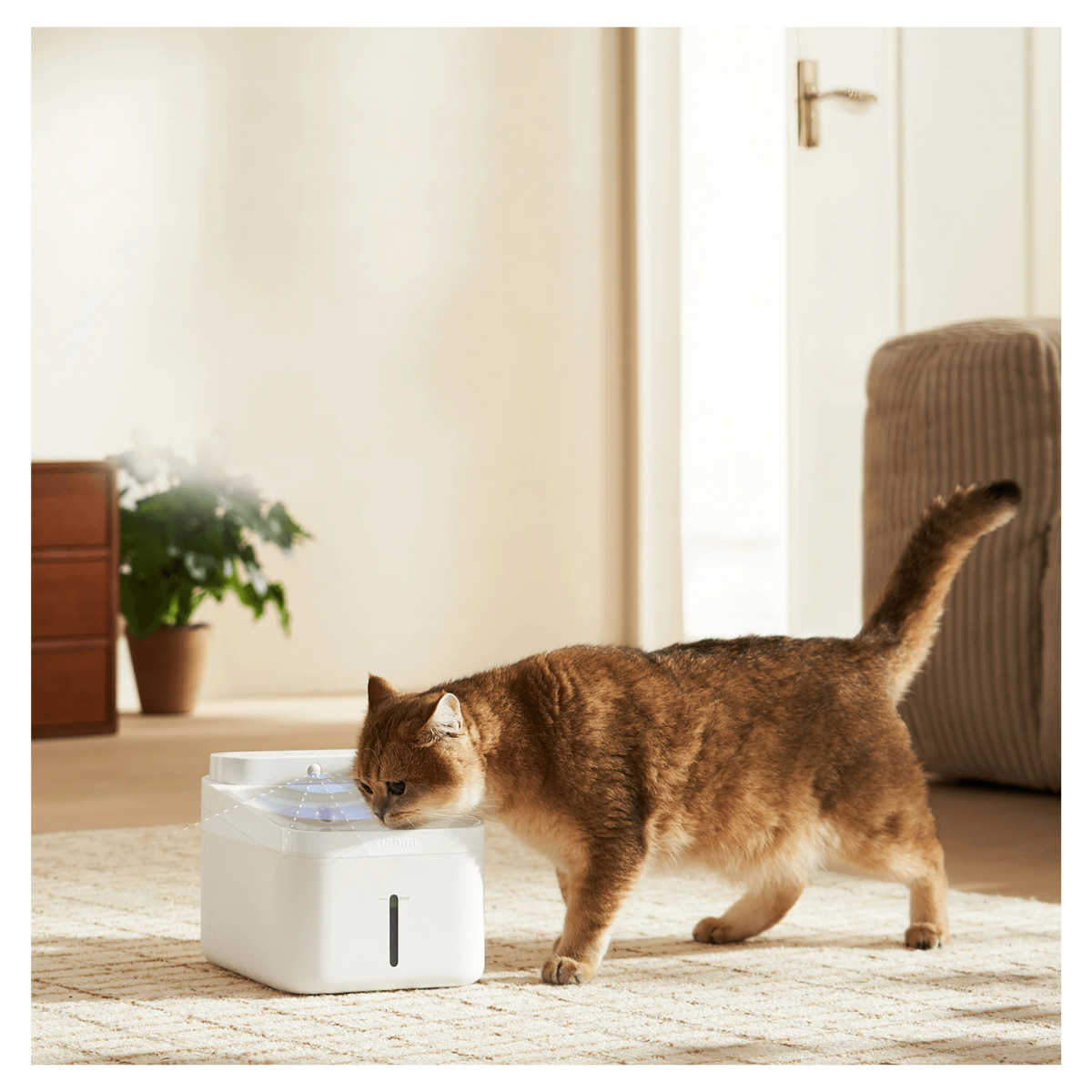 XIAOMI BEBEDERO PARA MASCOTAS 3L SMART PET FOUNTAIN 2 BLANCO - 3
