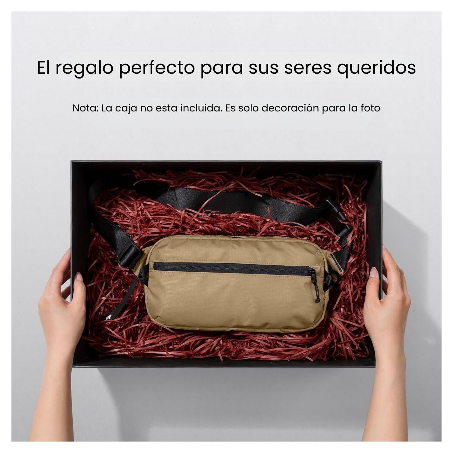 TOMTOC BANANO AVIATOR-T33 2.5L MEDIANO M - MARRÓN - 6