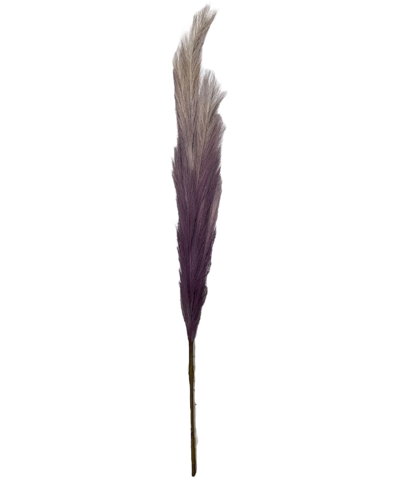 FLOR ARTIFICIAL DE PAMPA ARTIFICIAL FLORES DECORATIVAS 100CM - 2
