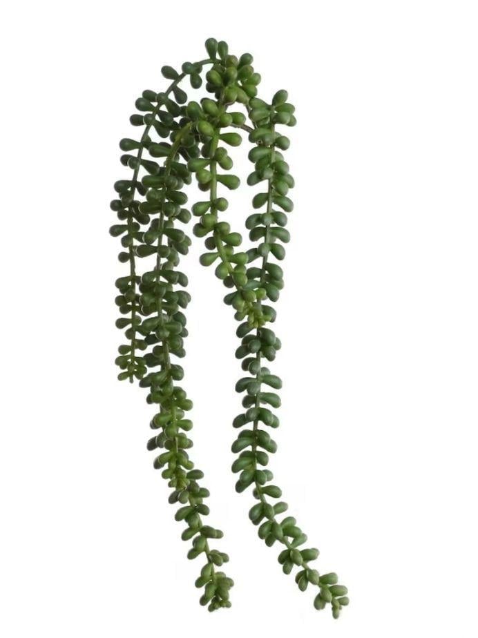 PLAN ARTIFICIAL SUCULENTA COLGAN ARTIFICIAL DECORATIVAS 78CM - 1