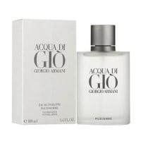 ACQUA DI GIO EDT 100ML - 1