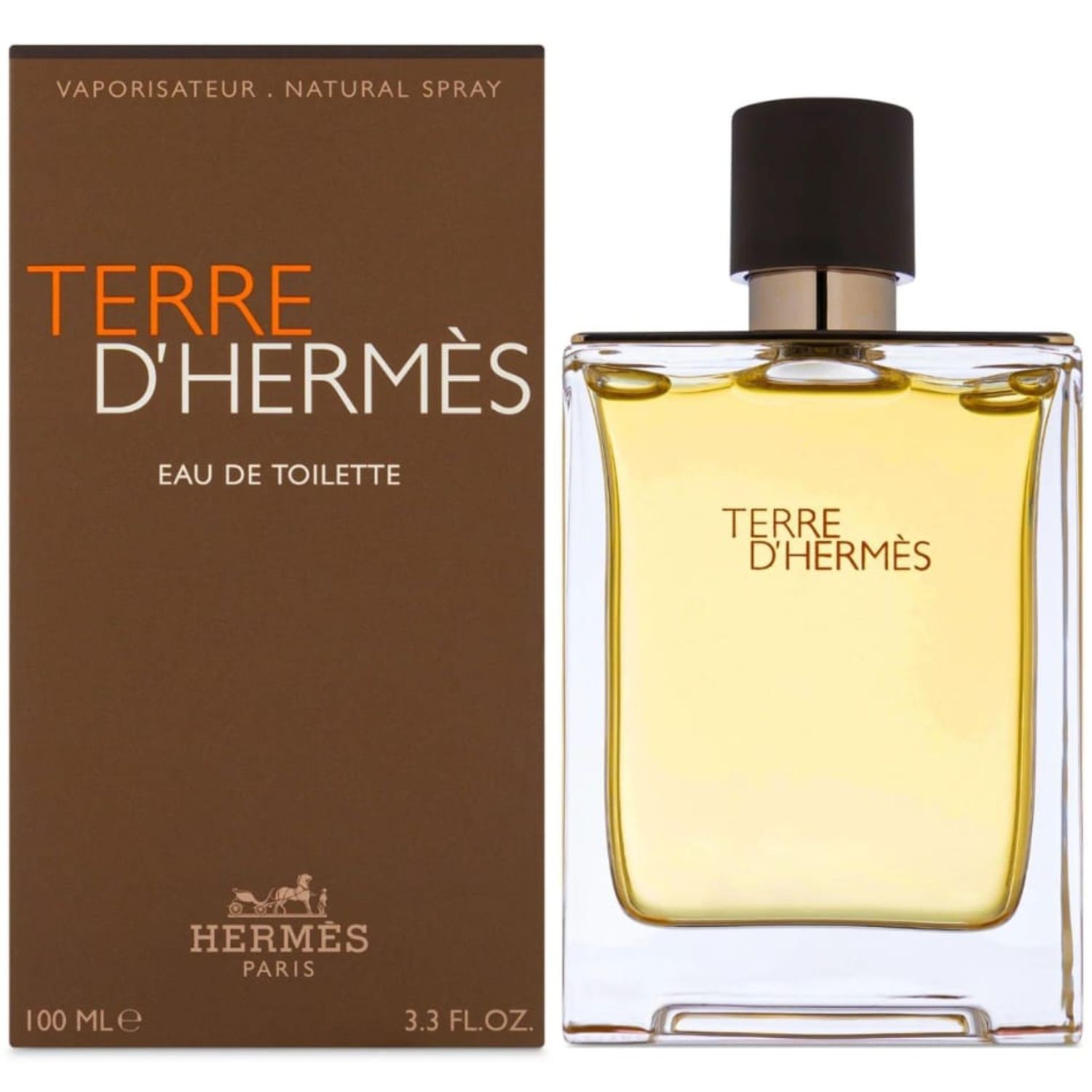 TERRE DE HERMES EDT 100ML - 1