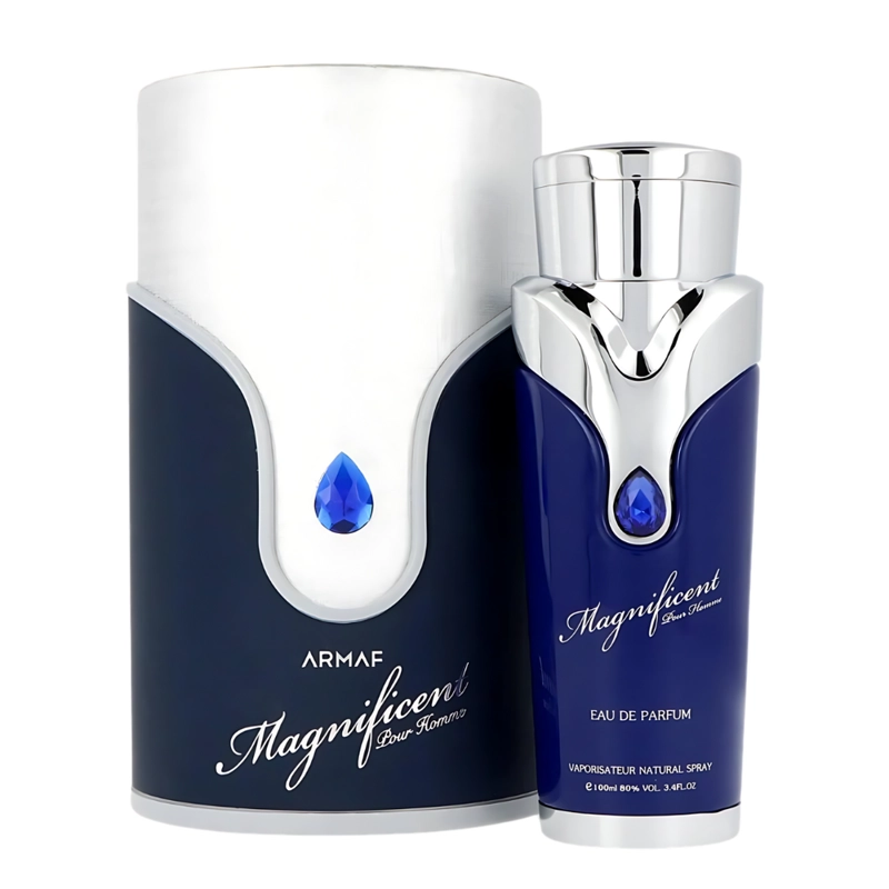 ARMAF MAGNIFICIENT BLU POUR HOMME EDP 100ML - 1