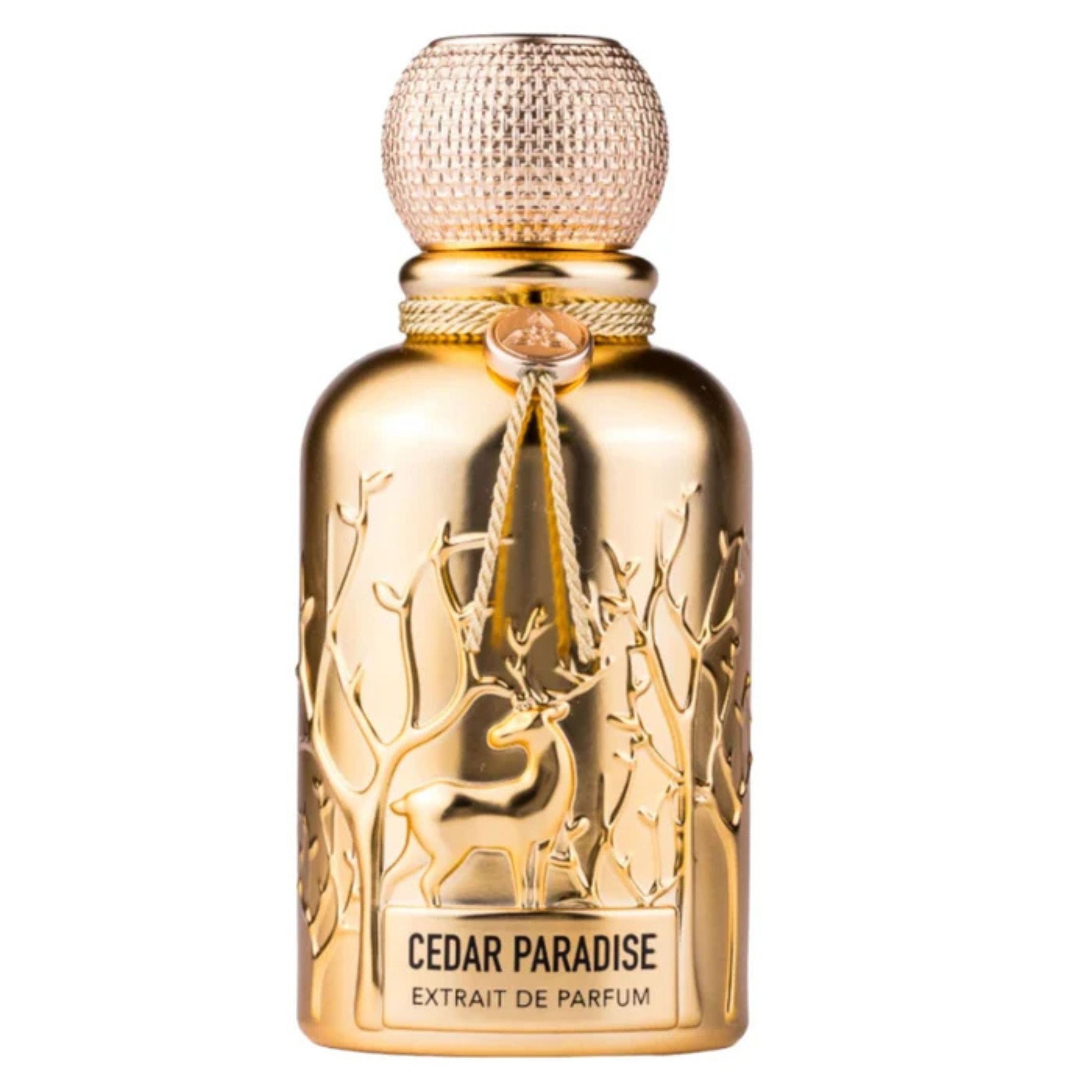 AURAA DESIRE CEDAR PARADISE EXTRAIT DE PARFUM 100ML - 1