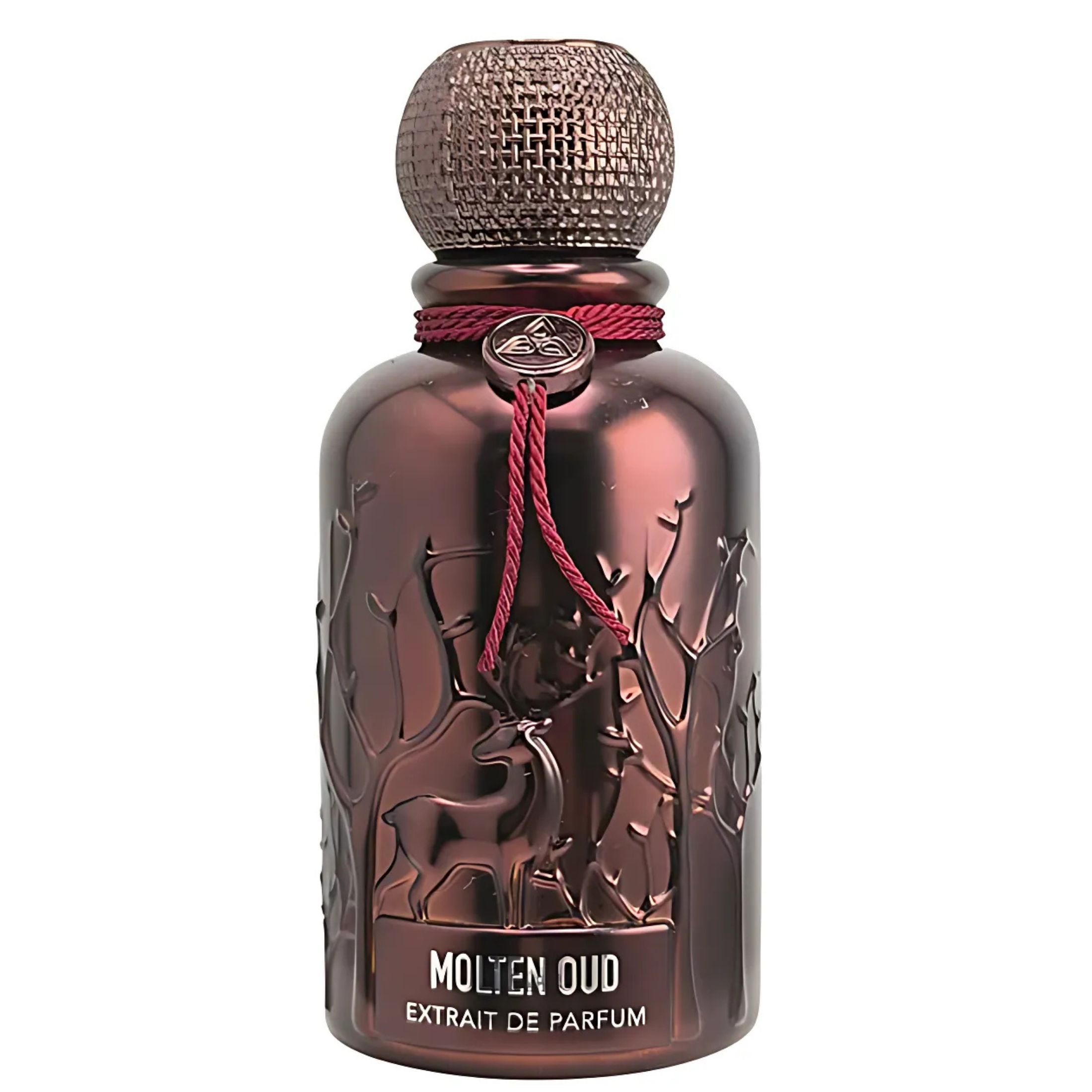 AURAA DESIRE MOLTEN OUD EXTRAIT DE PARFUM 100ML - 1