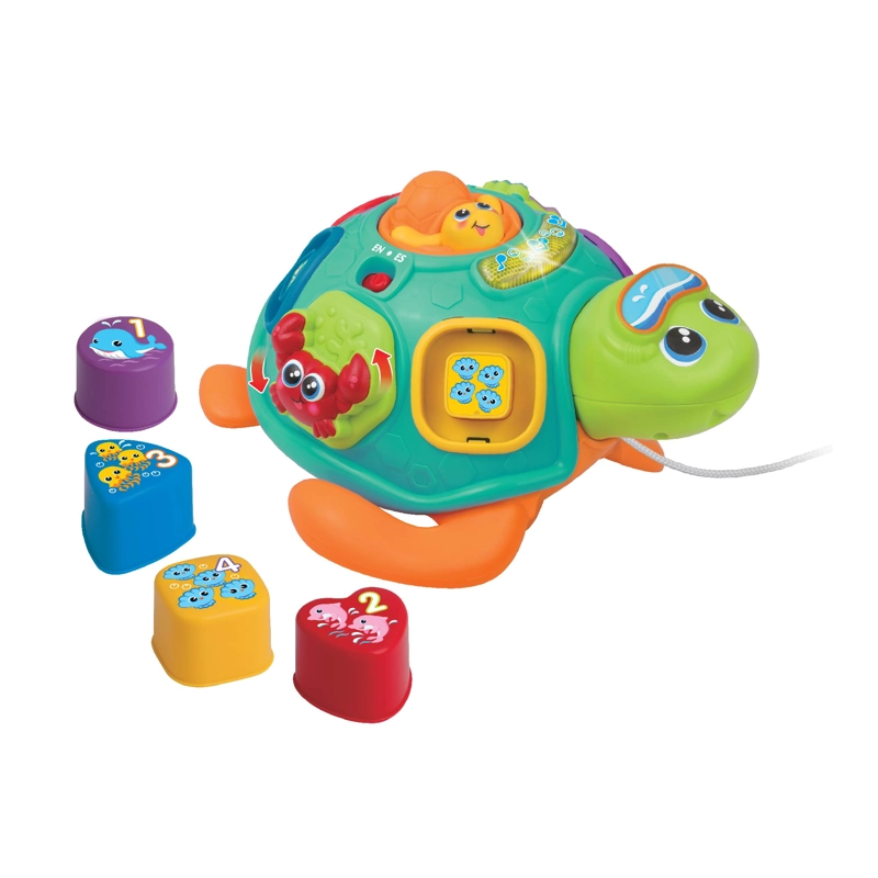 TORTUGA A CUERDA CLASIFICA Y APRENDE - 9