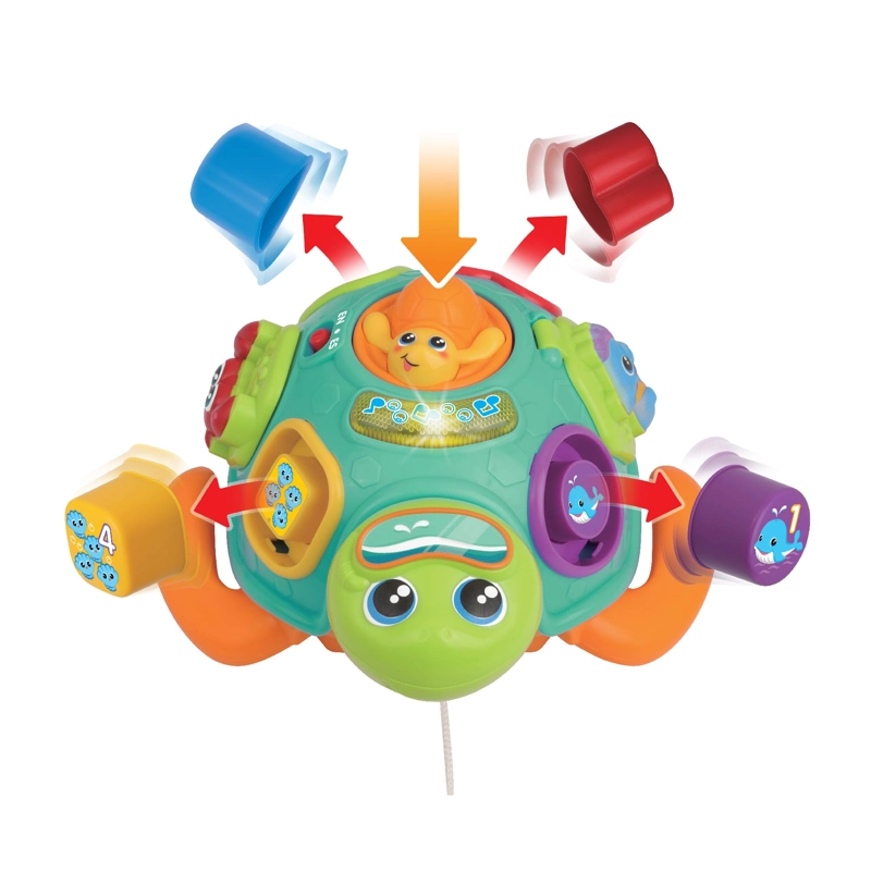 TORTUGA A CUERDA CLASIFICA Y APRENDE - 10