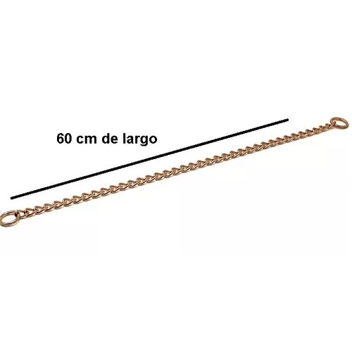 COLLAR DE ADIESTRAMIENTO METÁLICO, PARA PERRO 60 CM, DORADO - 2