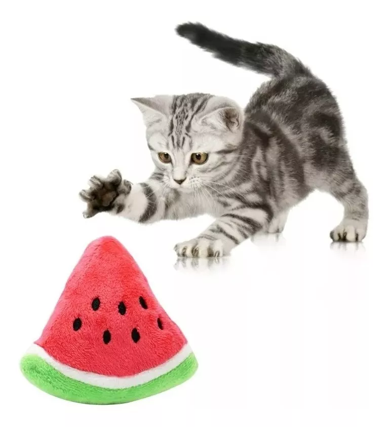 PELUCHE DEFENSOR FOREVER JUGUETE FORMA SANDIA - 3