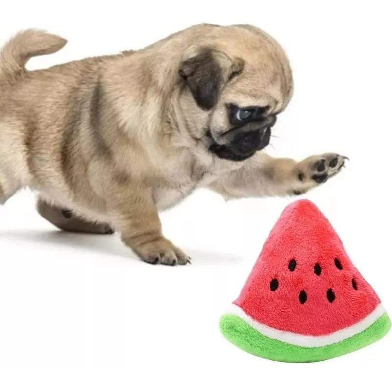 PELUCHE DEFENSOR FOREVER JUGUETE FORMA SANDIA - 4
