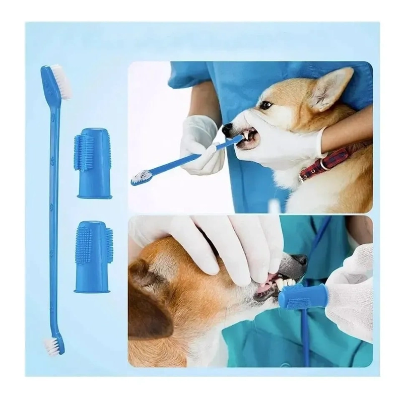 SET DE CEPILLO Y PASTA DE DIENTES PARA PERROS, CREMA DENTAL - 3