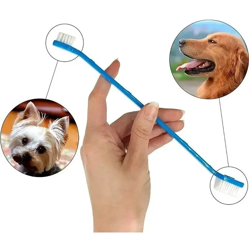 SET DE CEPILLO Y PASTA DE DIENTES PARA PERROS, CREMA DENTAL - 6