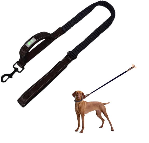 CORREA PERROS ELASTICA DEFENSOR FOREVER - 1