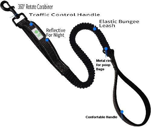 CORREA PERROS ELASTICA DEFENSOR FOREVER - 3